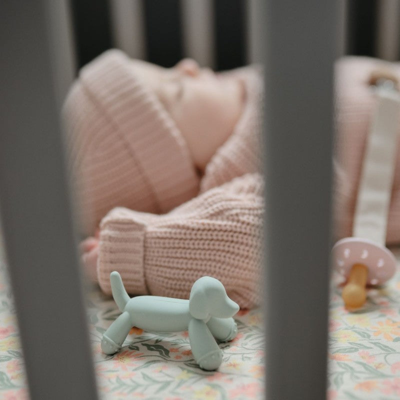 mordedor-silicona-dog-sage-8x45x45-cm (1)