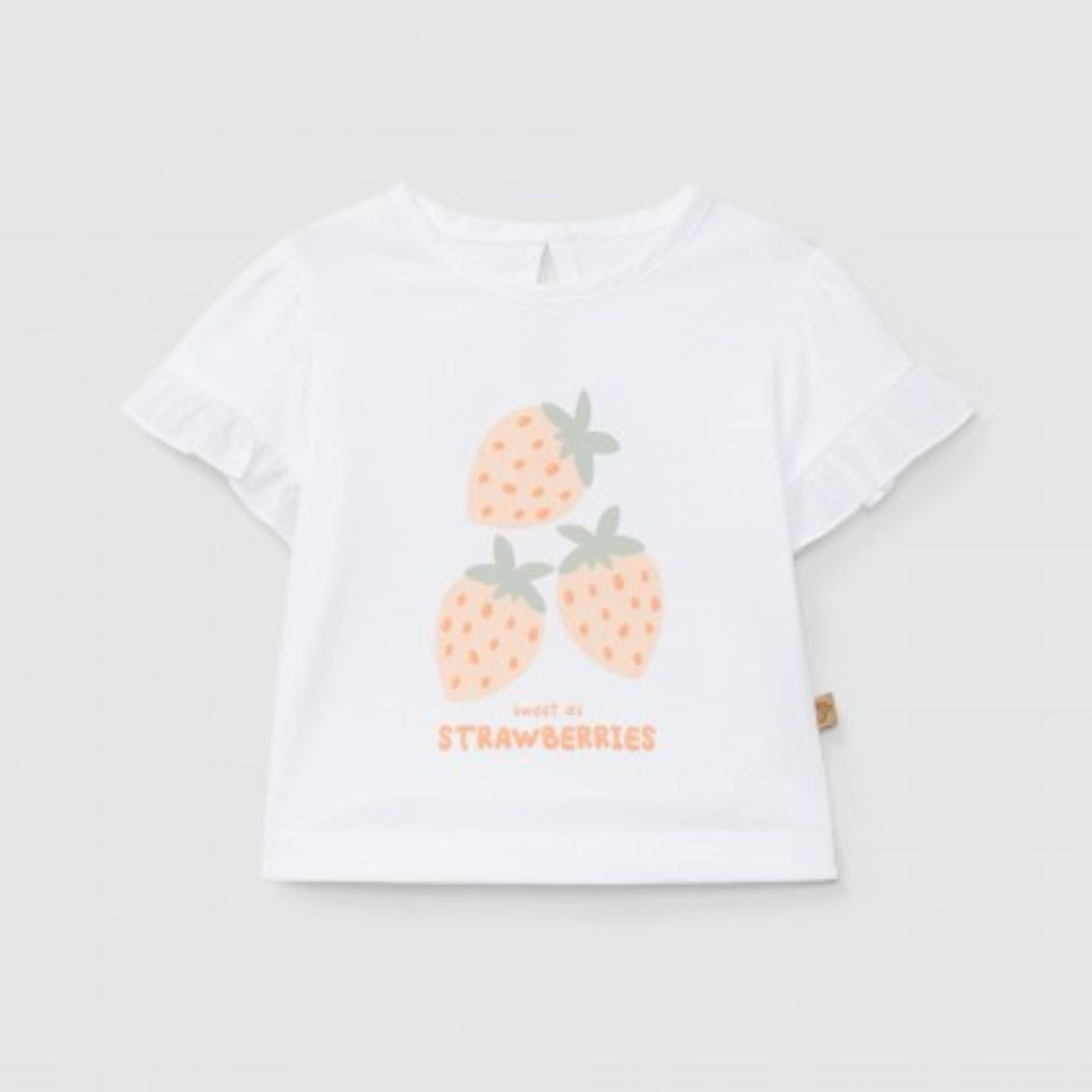 Design sem nome – 2025-03-19T144357.515