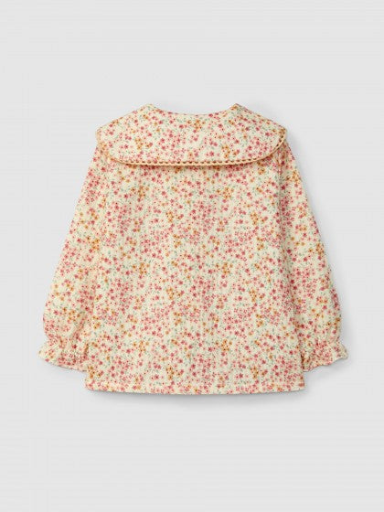 1744042492_66ca2df2ee6b0b5a0d21371b966a535a