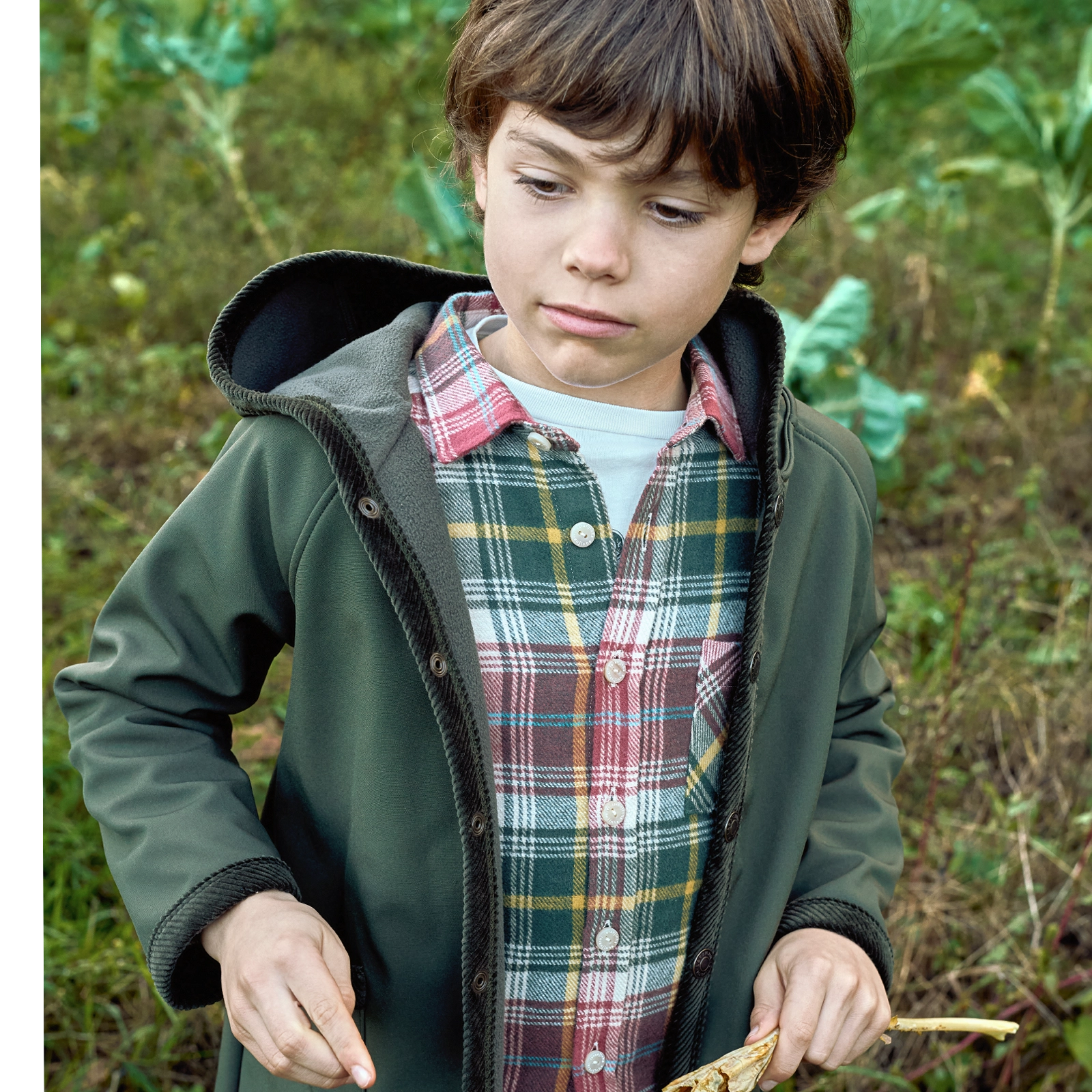 2024_12_19_LARANJINHA7871