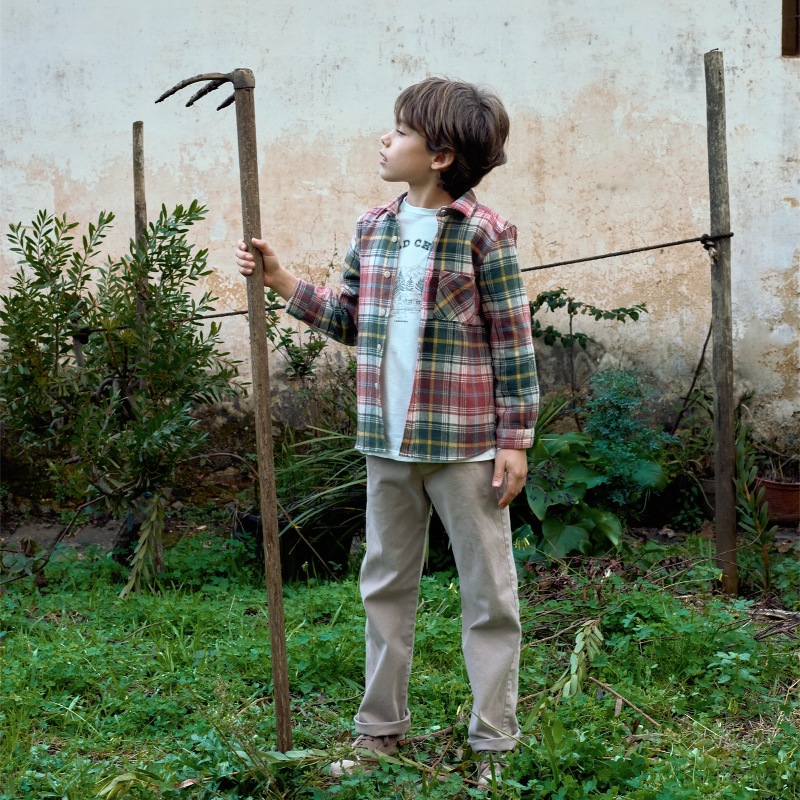 2024_12_19_LARANJINHA7825