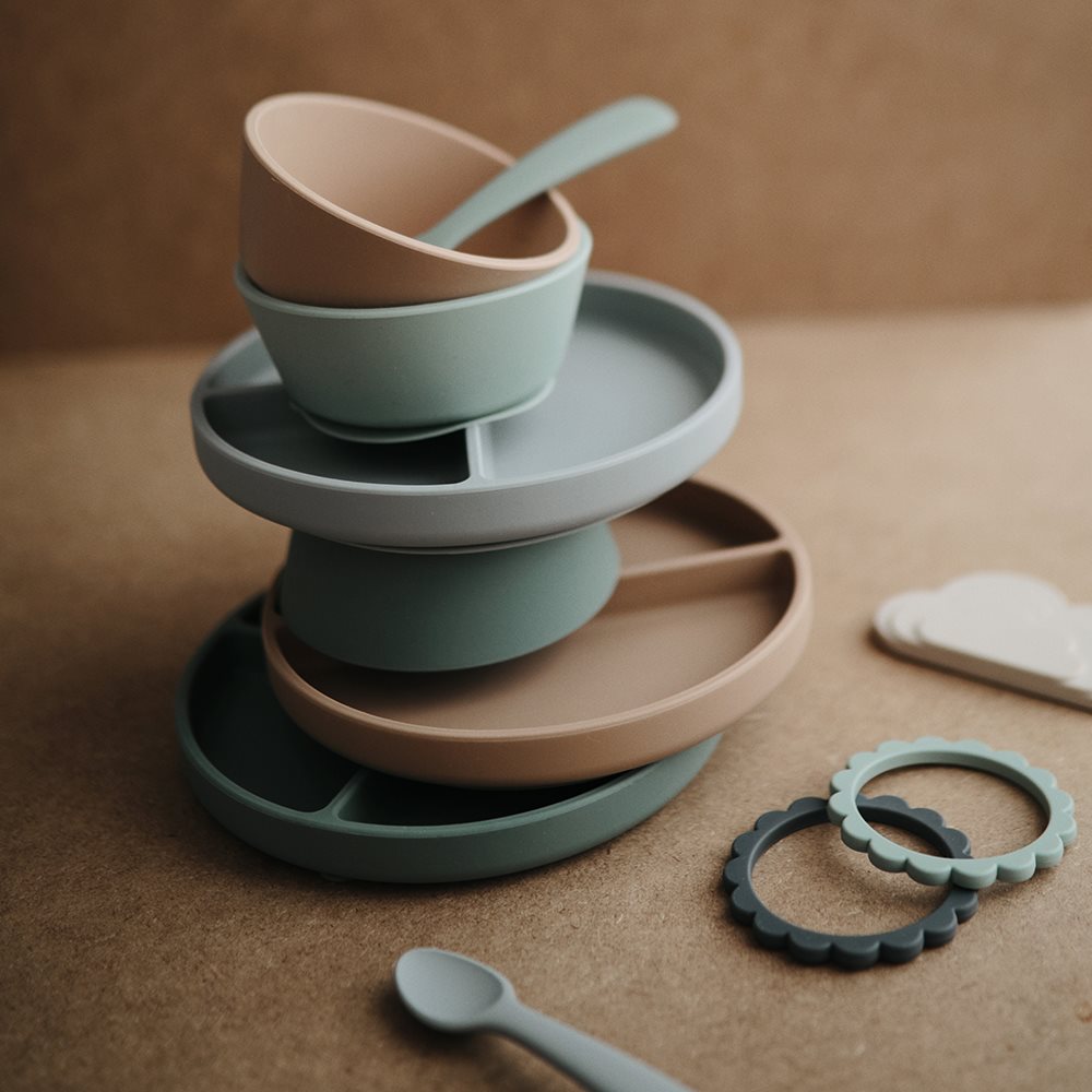 plato-ventosa-compartimentos-7