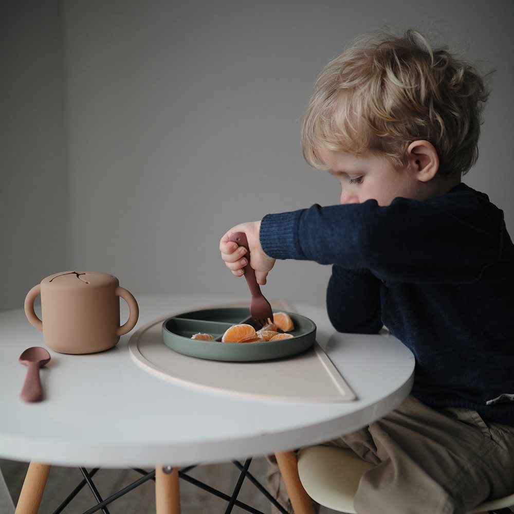 plato-ventosa-compartimentos-10