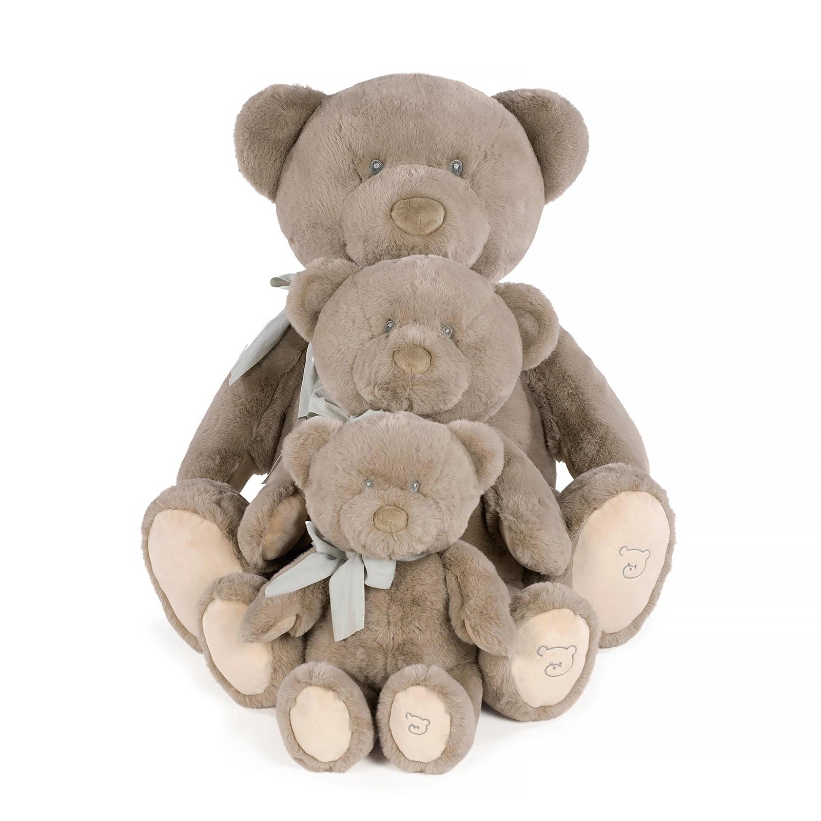 bodegon-osos-marronsa-1