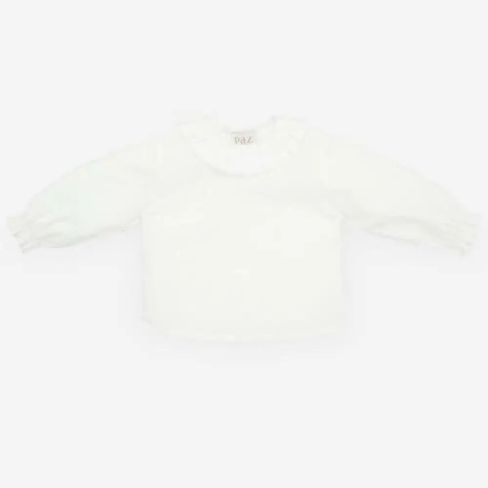 Design-sem-nome-2024-08-23T145817.316