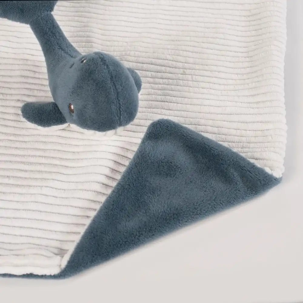 Design-sem-nome-2024-07-18T145858.545