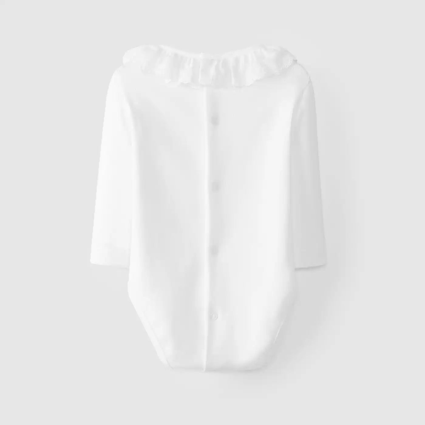 Design-sem-nome-2024-08-29T122734.390