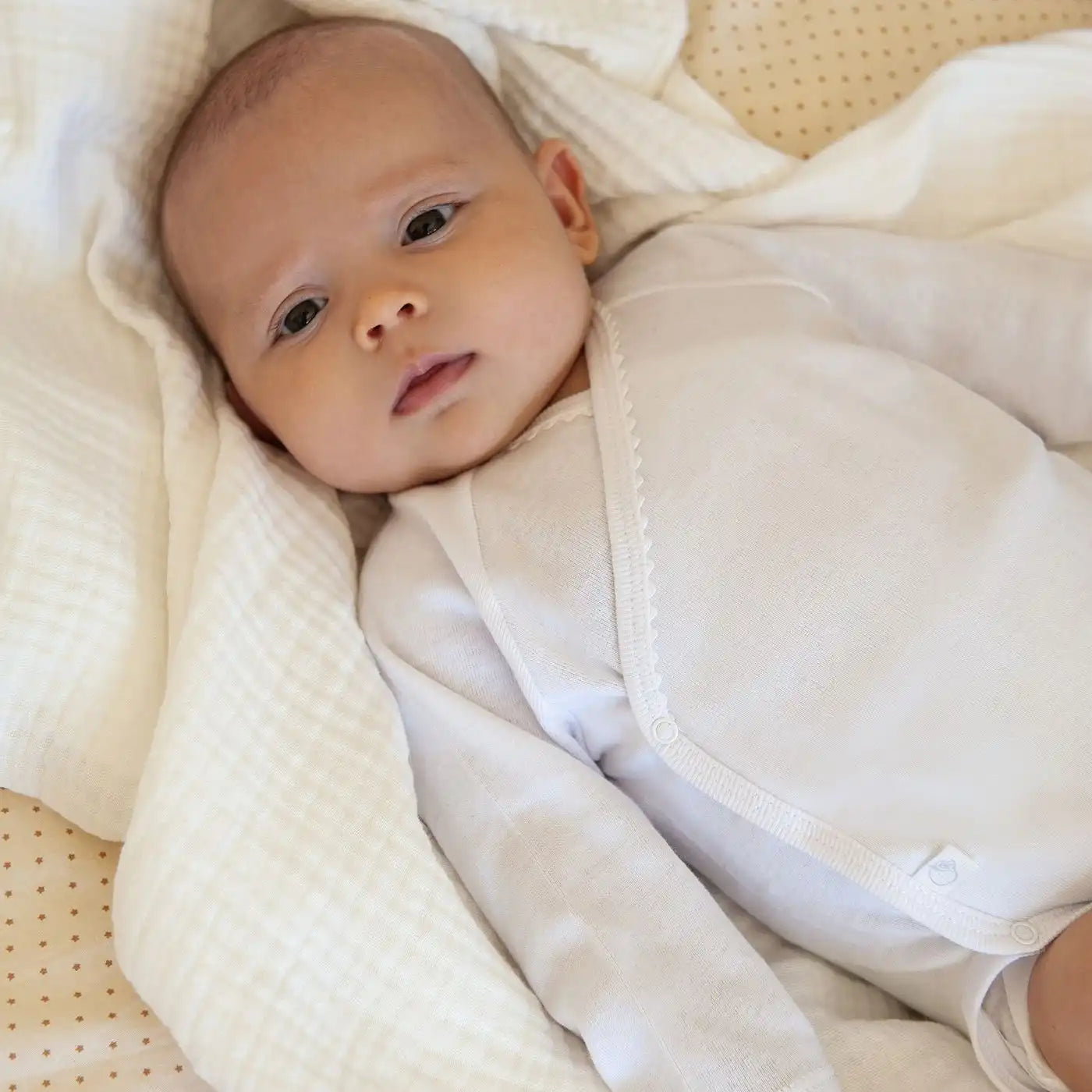 Design-sem-nome-2024-08-29T125831.757