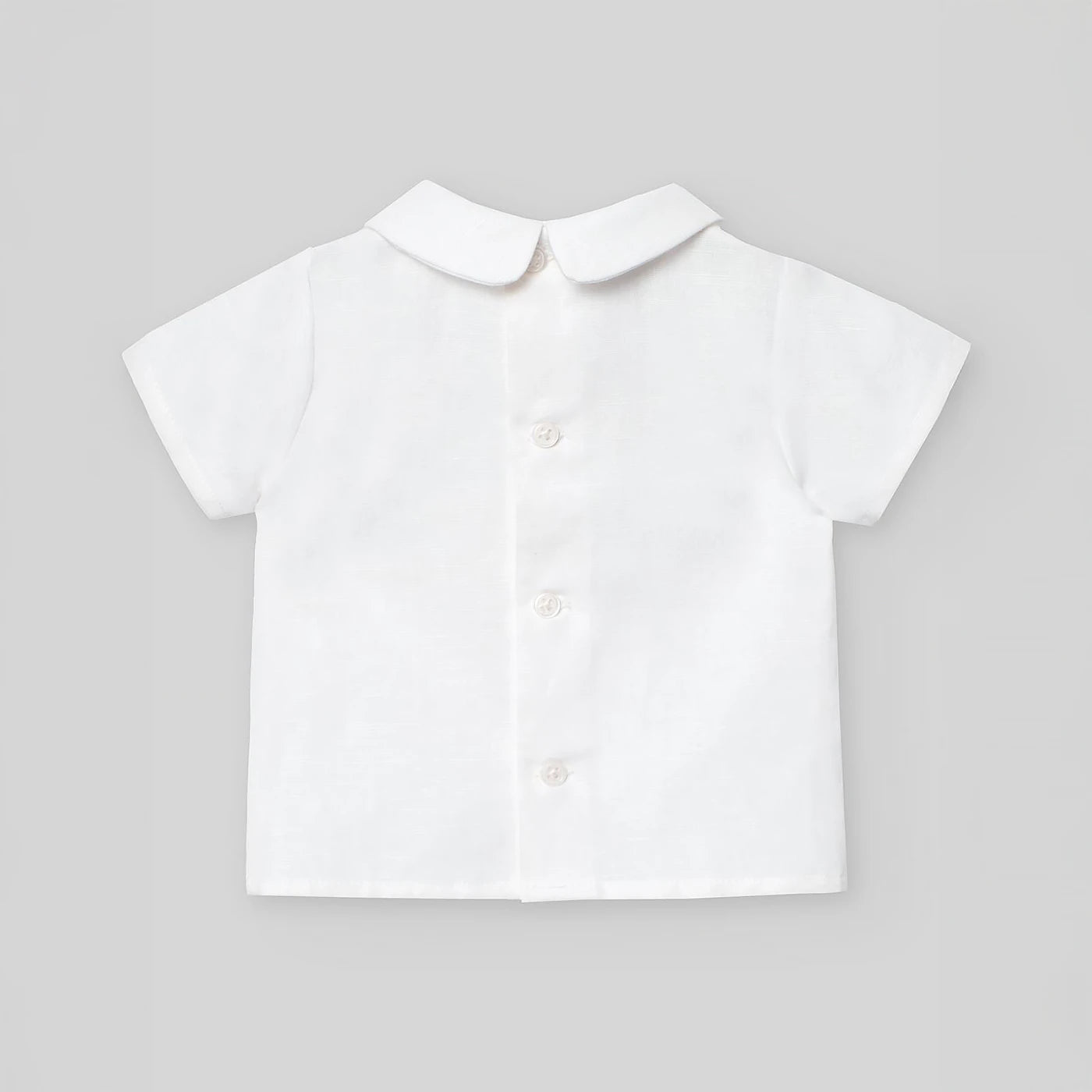 006-152547_trasera (2)