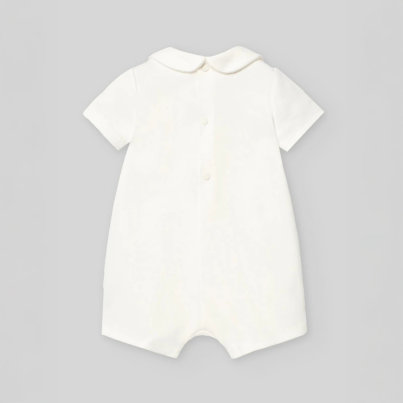 005-192508-60_trasera (2)