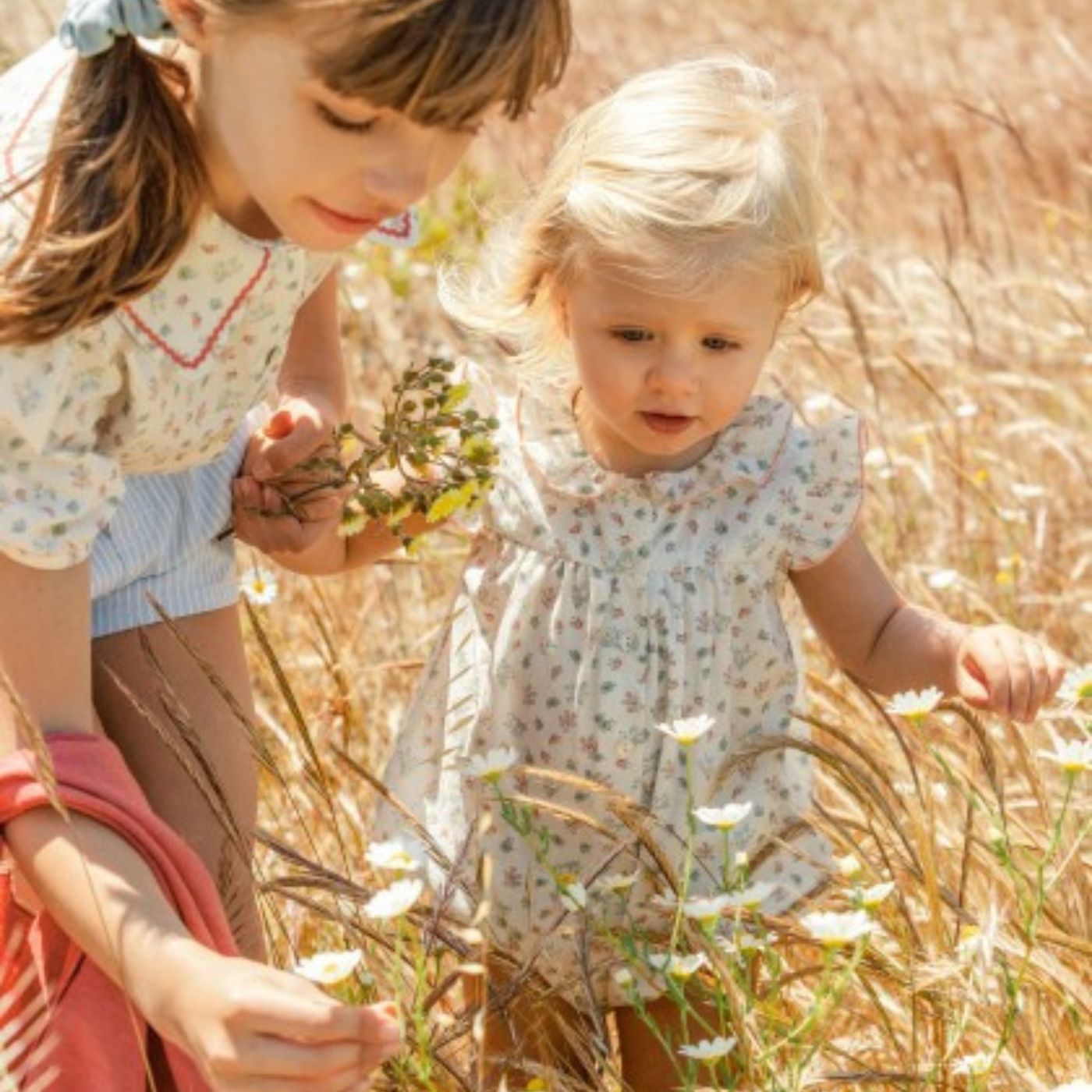 Design sem nome &#8211; 2025-03-19T151134.647