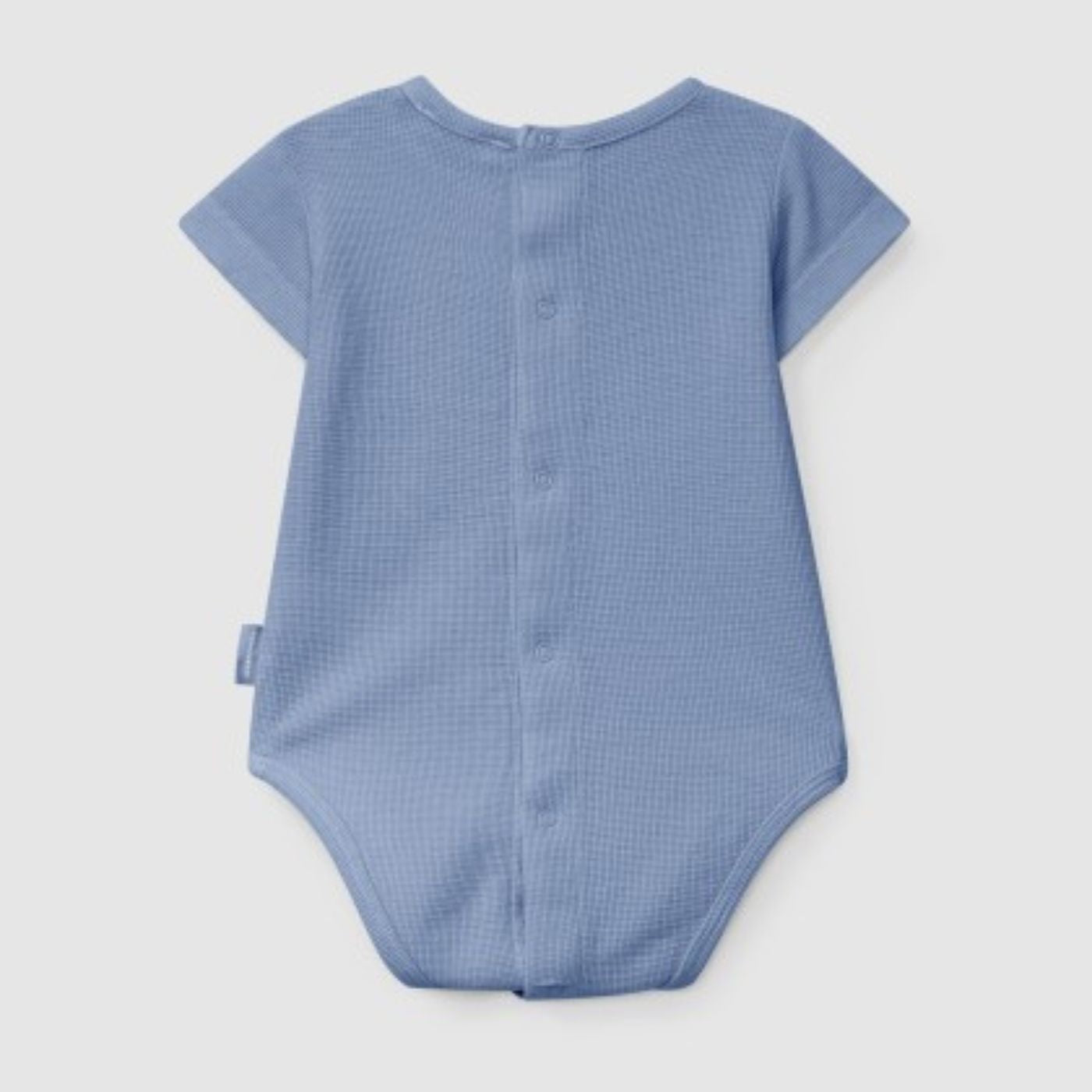 Design sem nome &#8211; 2025-03-21T133512.144