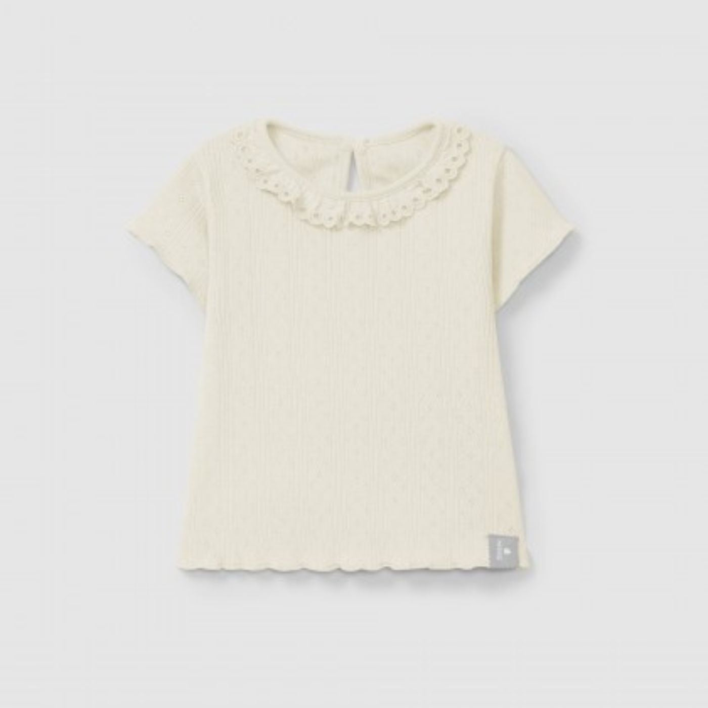 Design sem nome &#8211; 2025-04-03T105413.767