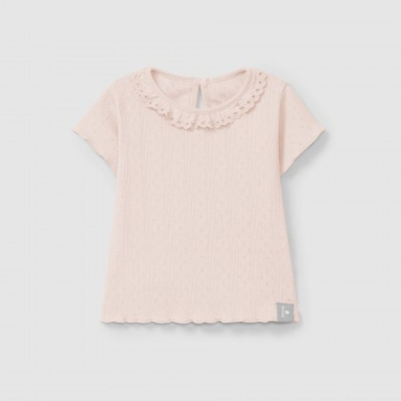 Design sem nome &#8211; 2025-04-04T154317.401