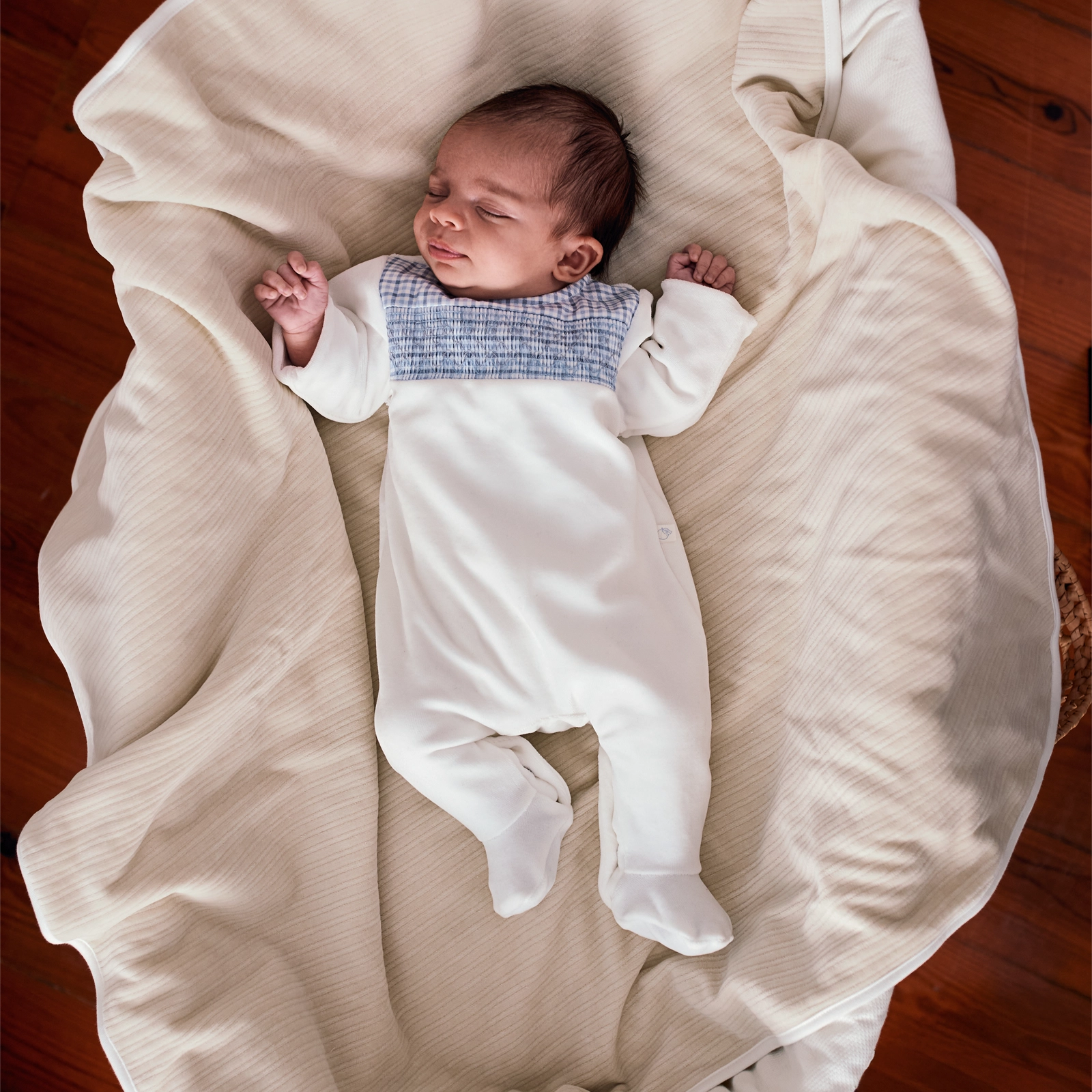 2024_12_17_LARANJINHA3475