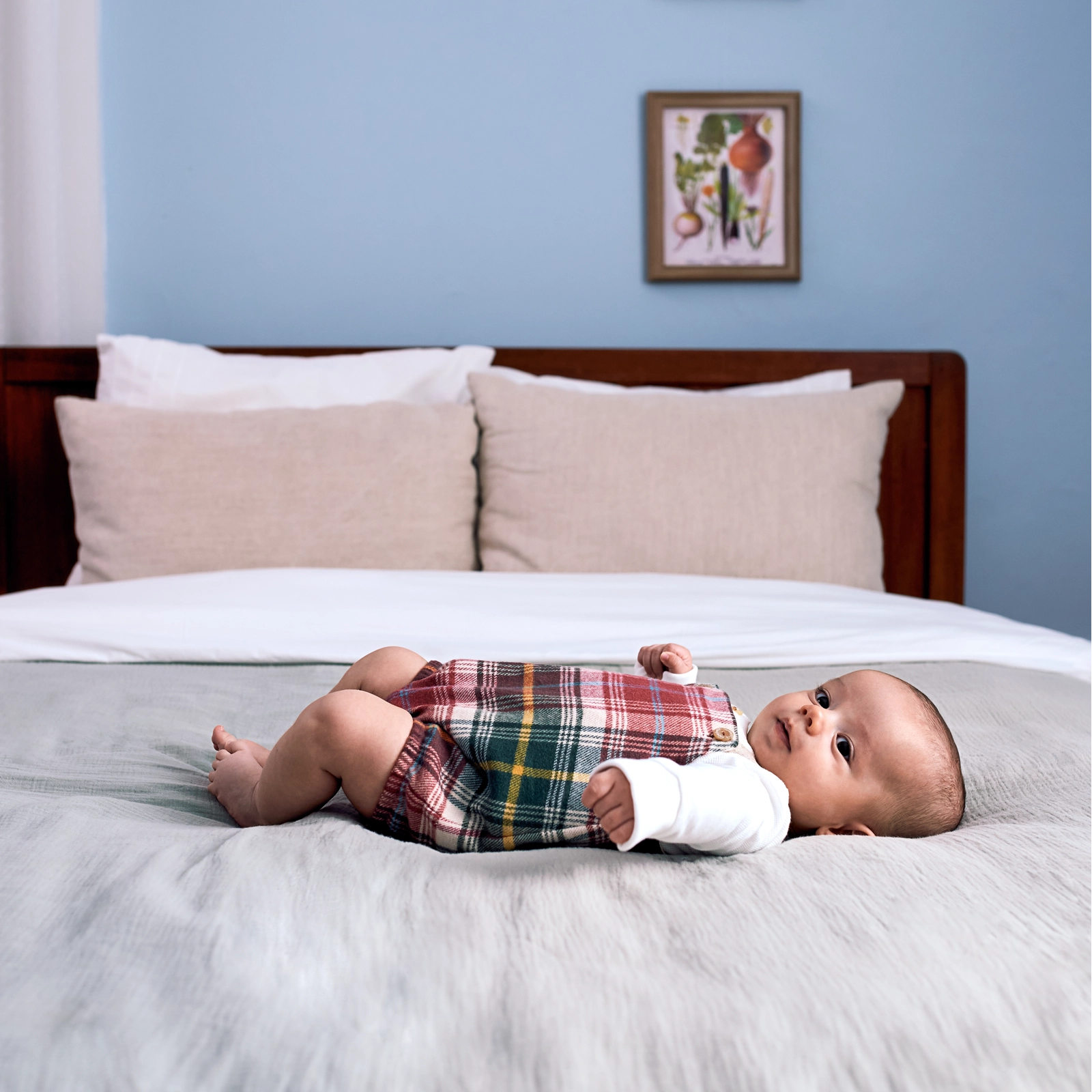 2024_12_17_LARANJINHA3737