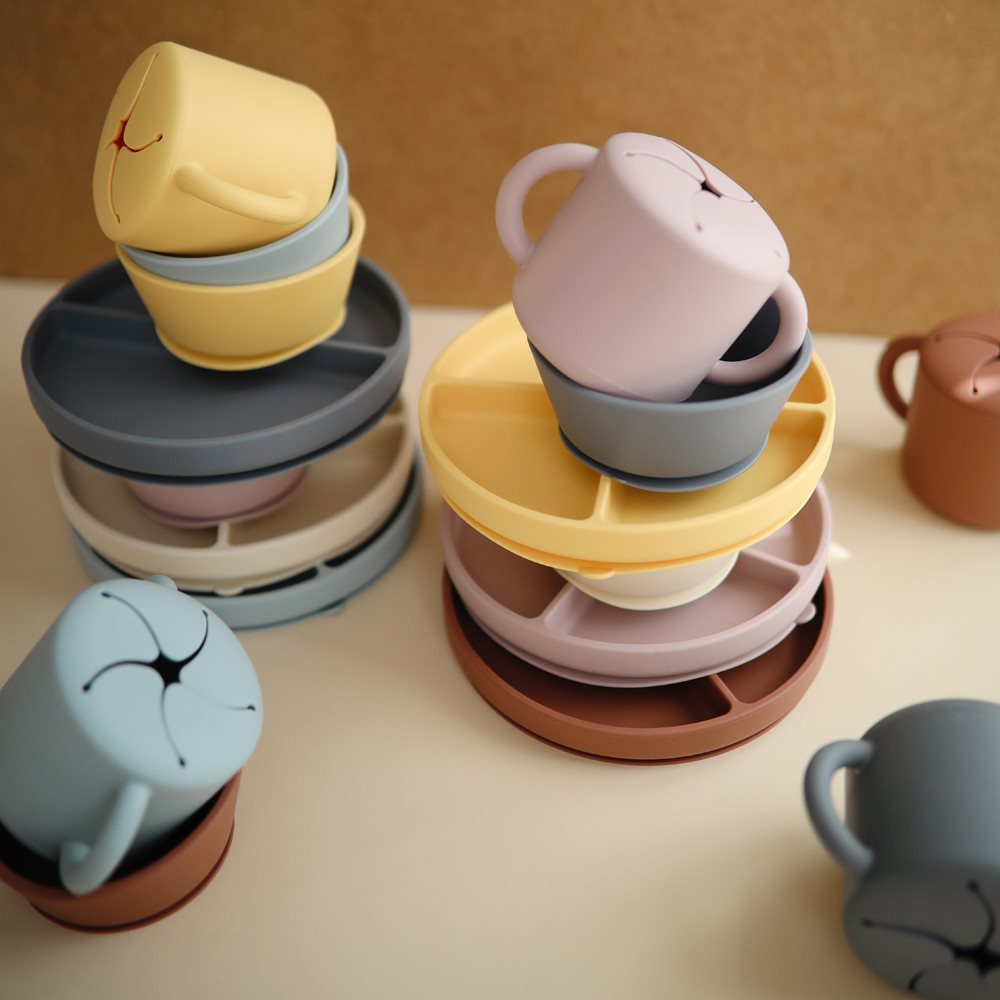 bol-con-ventosa-1-Copia