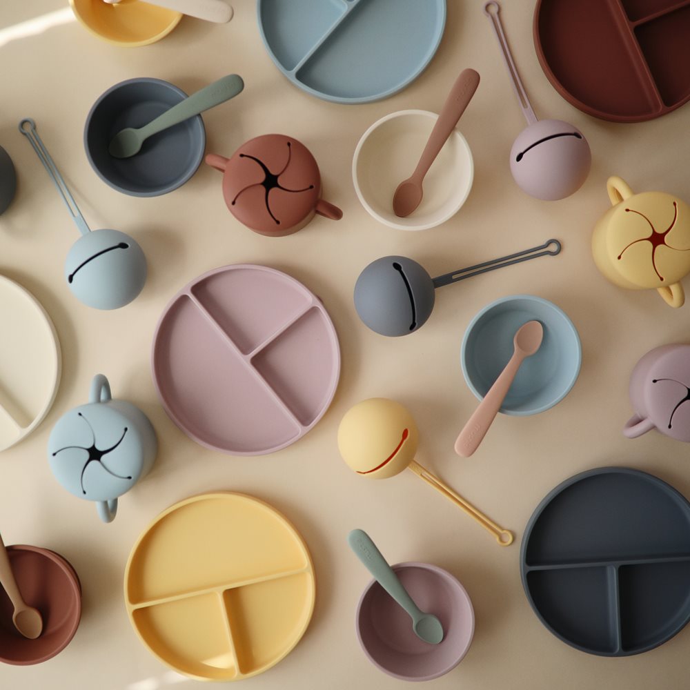 plato-ventosa-compartimentos-2