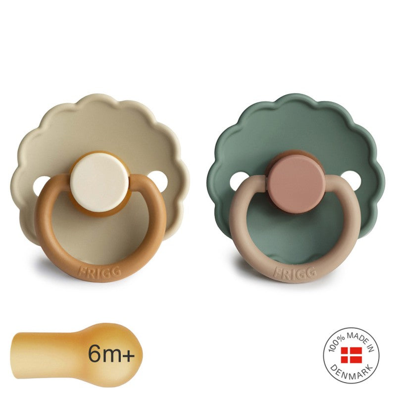 pack-2-chupetes-latex-daisy-desert-willow-6