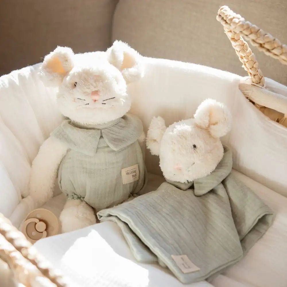 Design-sem-nome-2024-07-17T182331.536-1