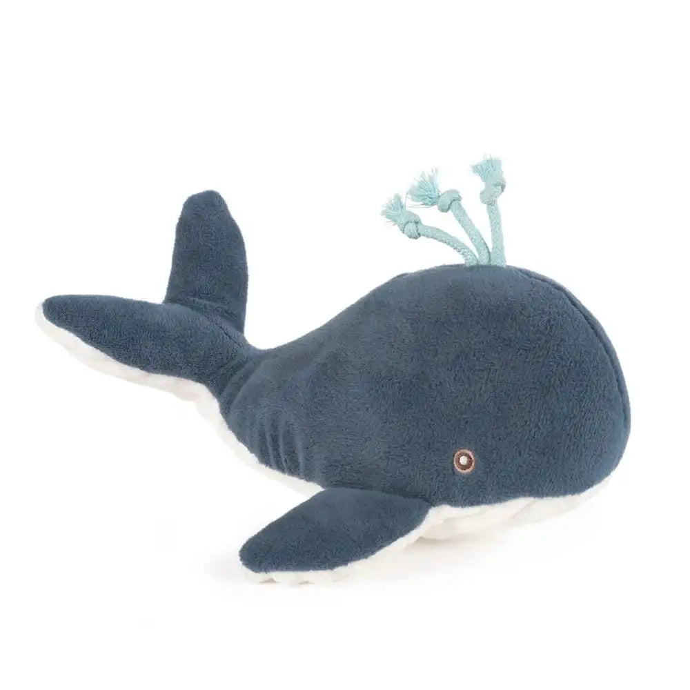 Design-sem-nome-2024-07-18T124155.479